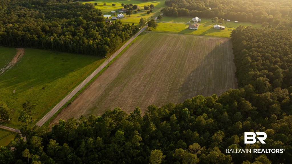Picture 25
