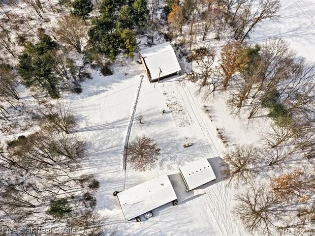 Picture 11