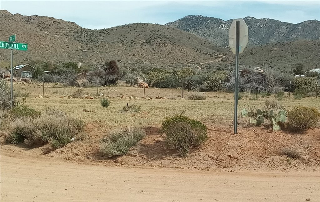 Picture 6