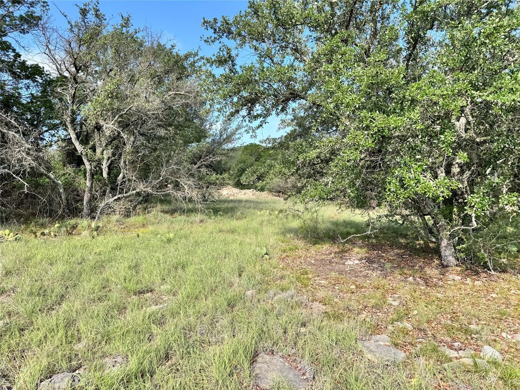 Picture 18