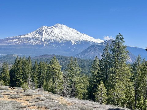 64 Acres with Mountain Views