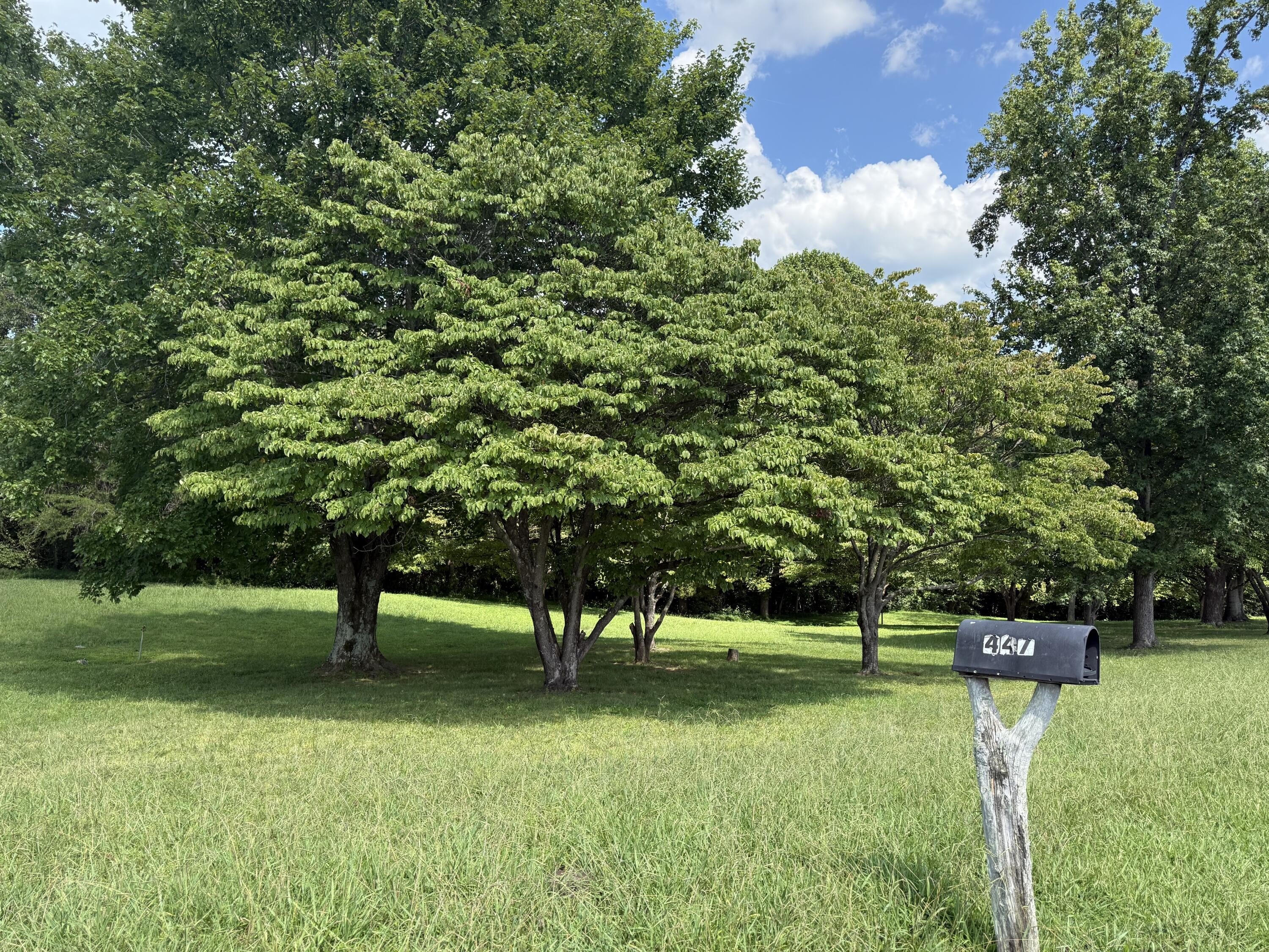 Land Near Lake Cumberland