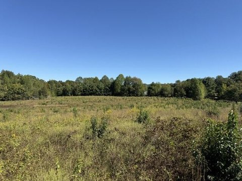 Land, Cookeville, TN