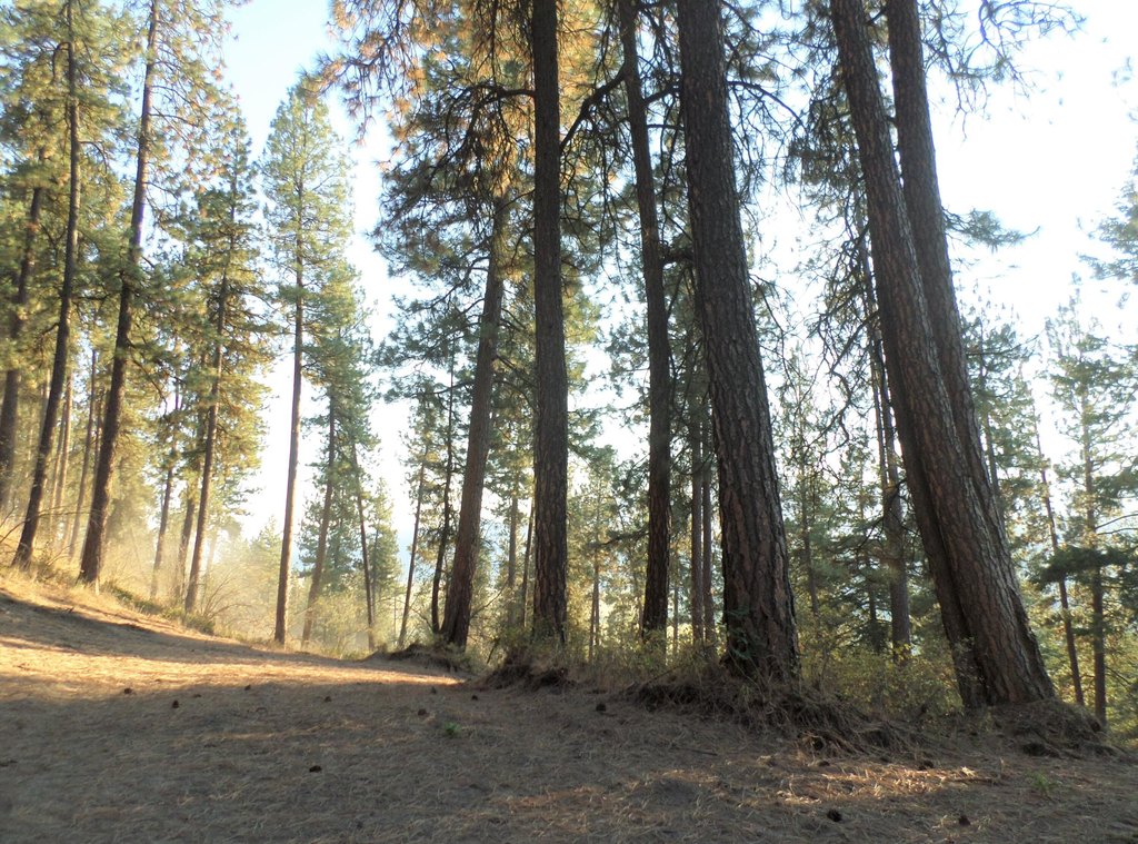 Picture 24