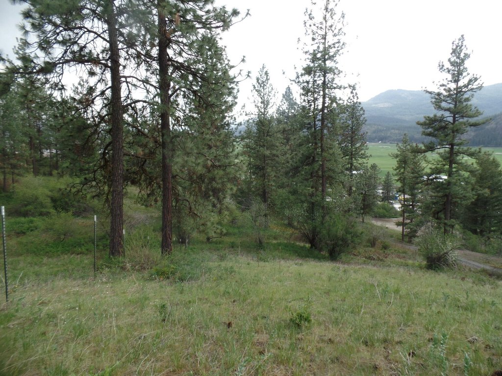 Picture 21