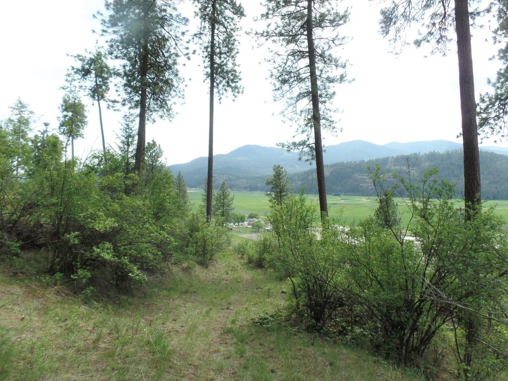 Picture 13