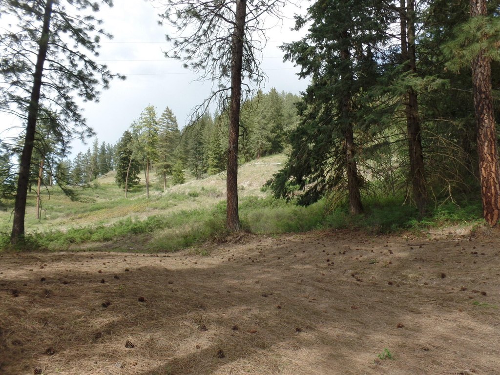 Picture 22