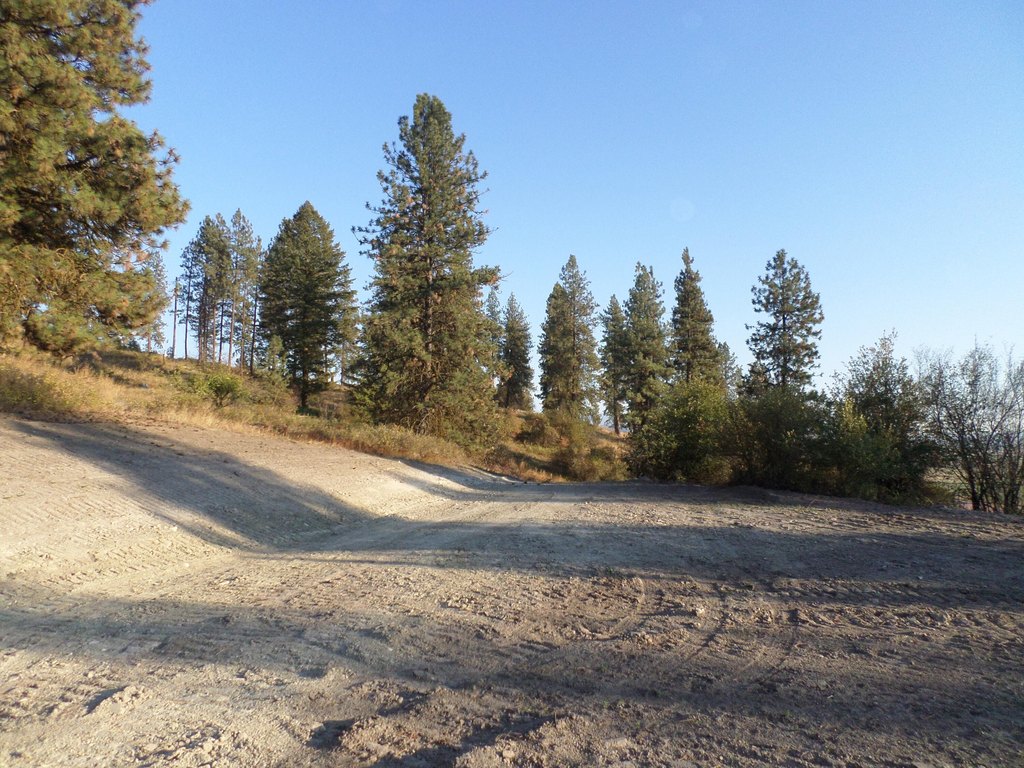 Picture 20