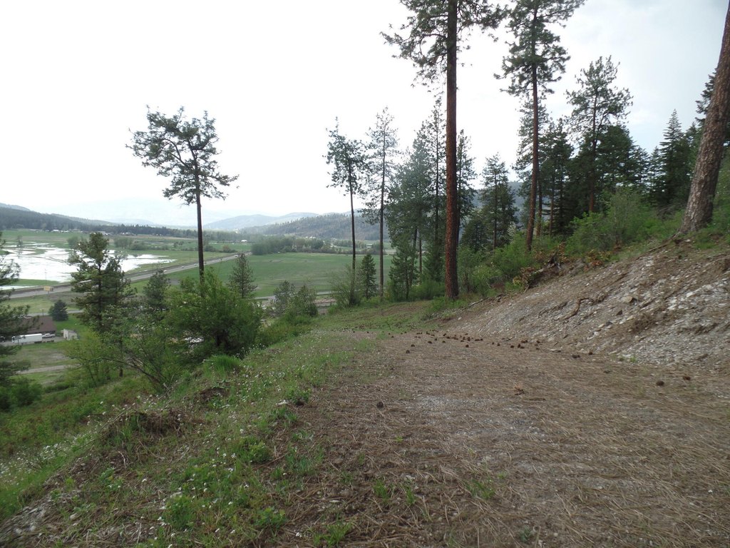 Picture 11