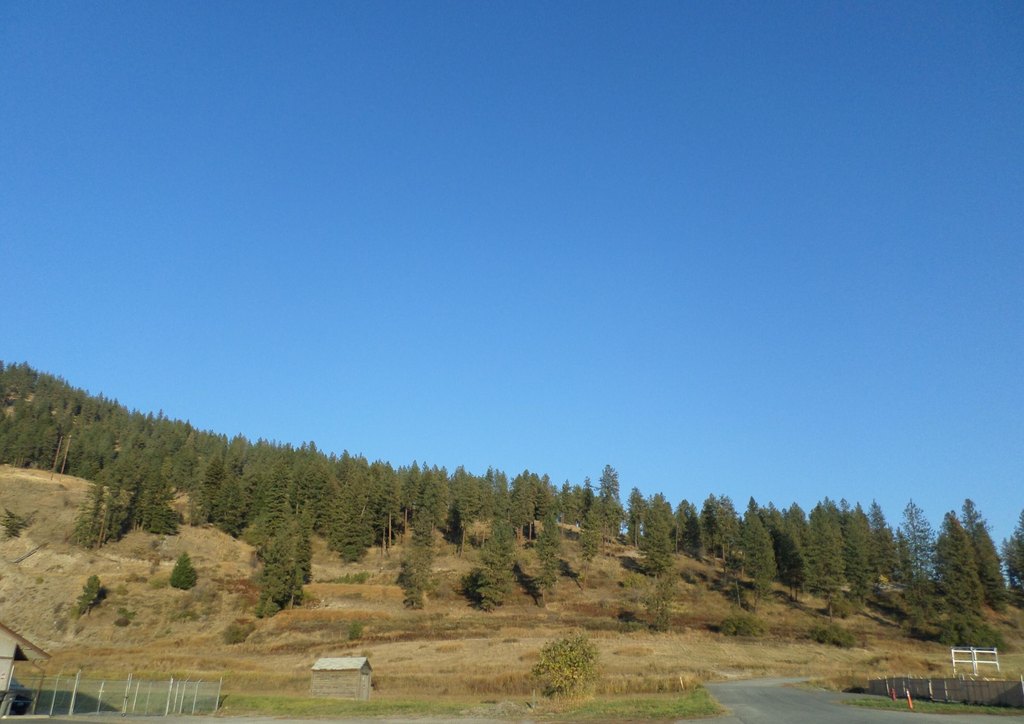 Picture 30
