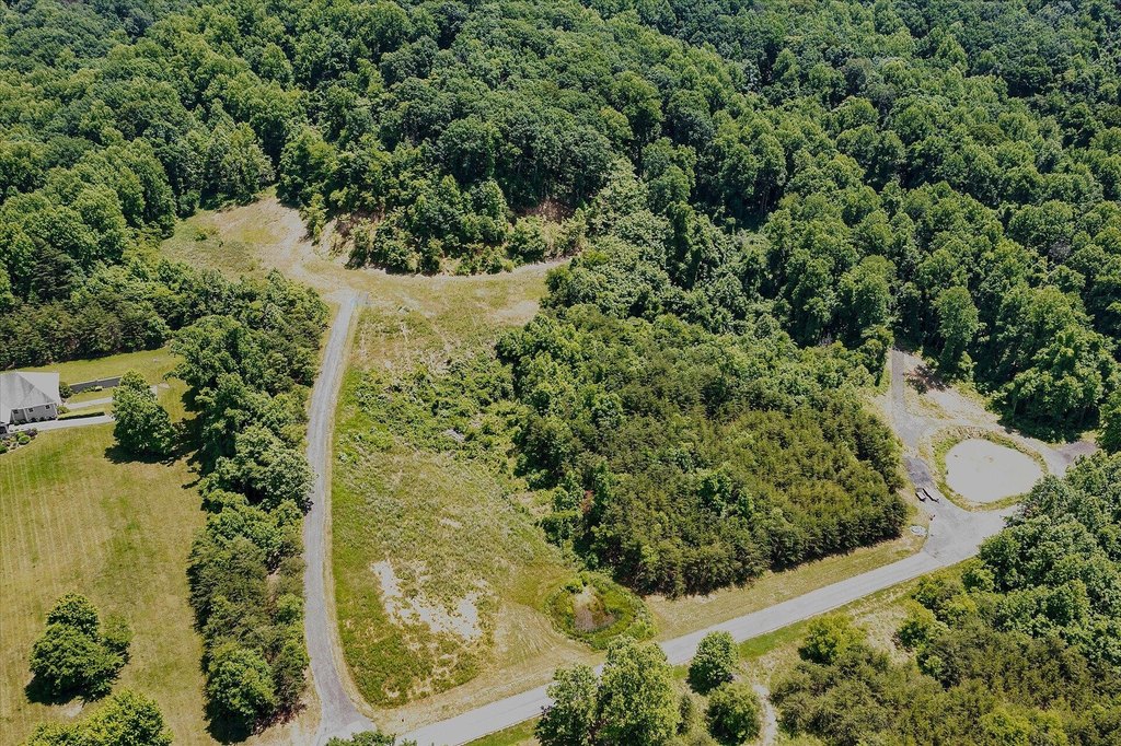 Picture 16