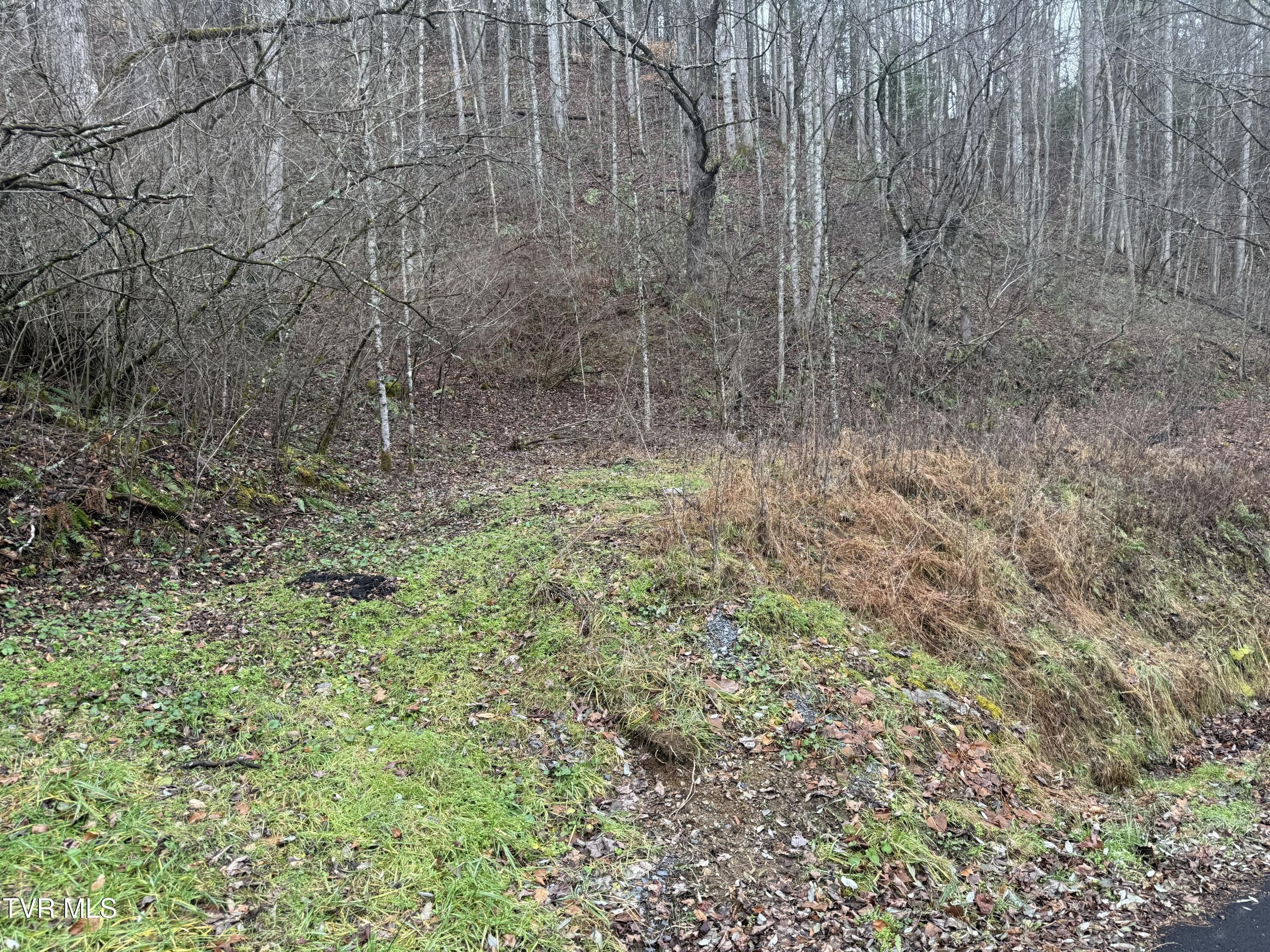 Undeveloped Land in Roan Mountain