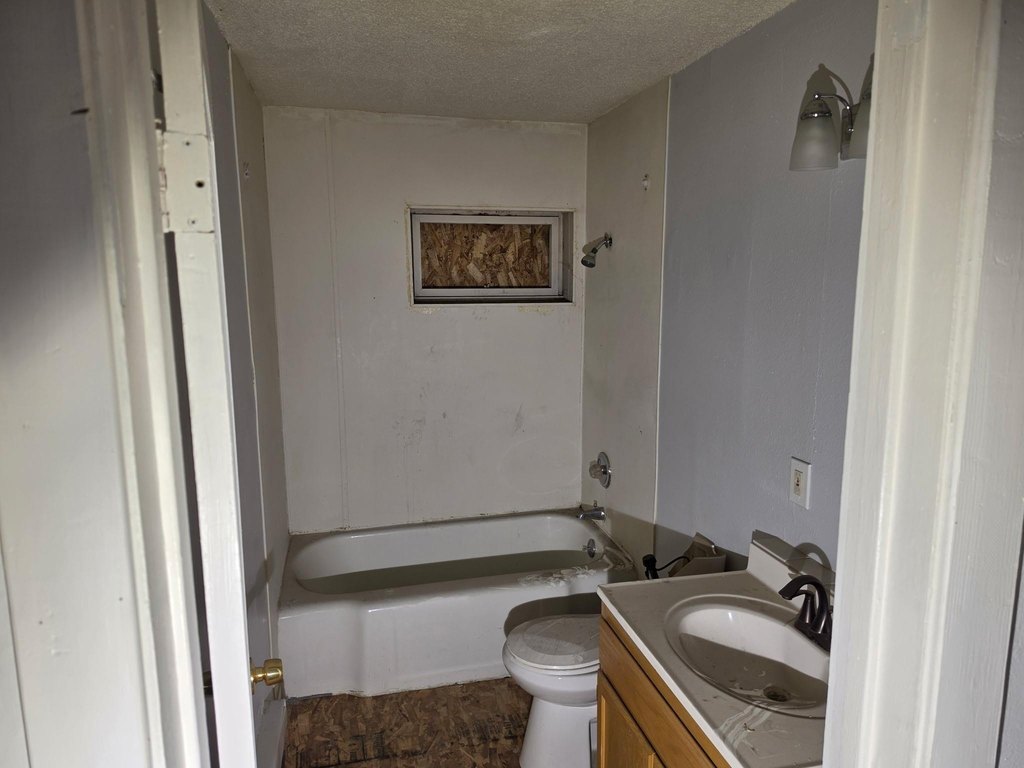 Picture 19