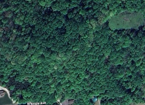 Pristine Wooded Acres in Lebanon