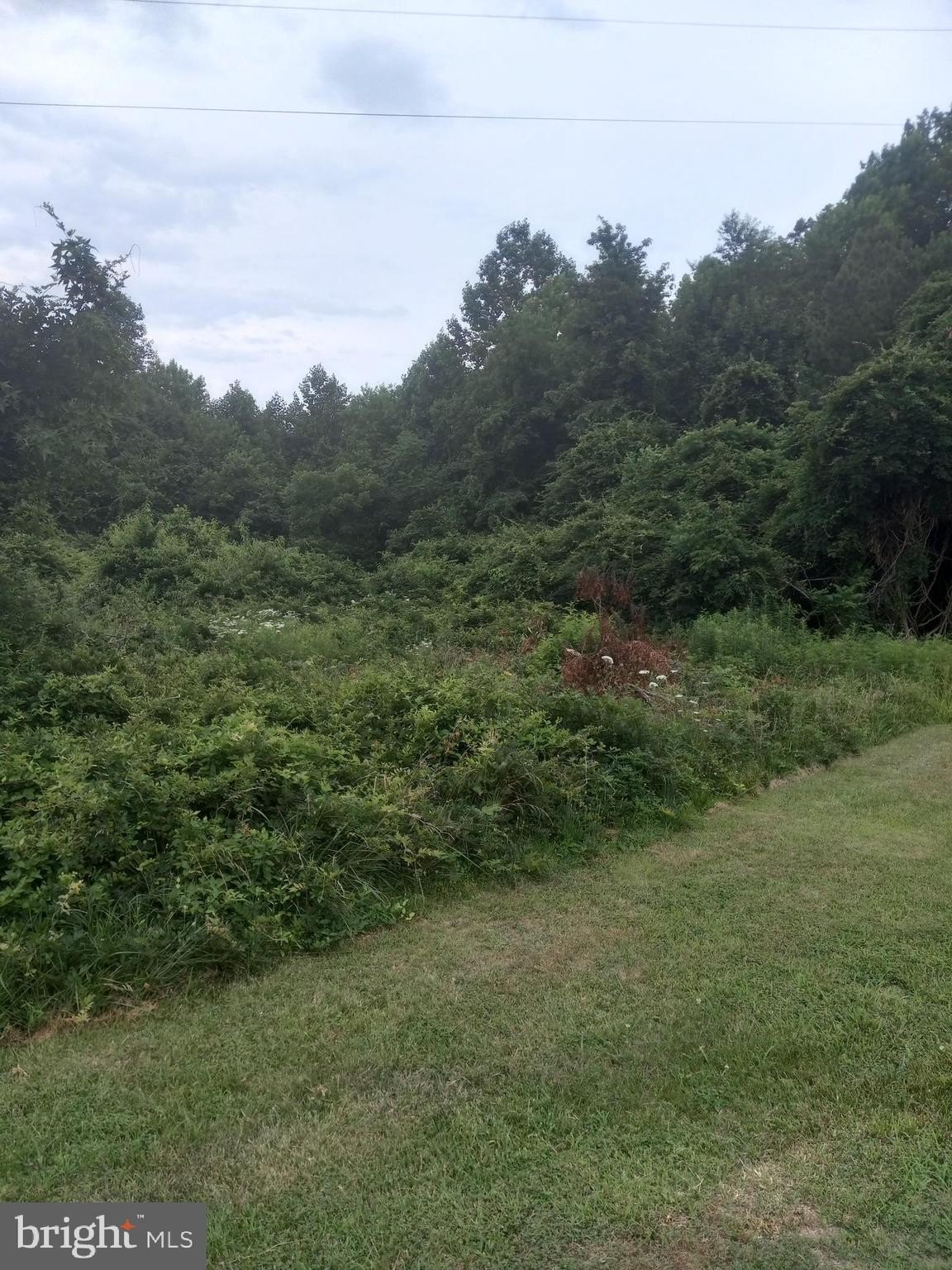 Raw Land in Spotsylvania, VA