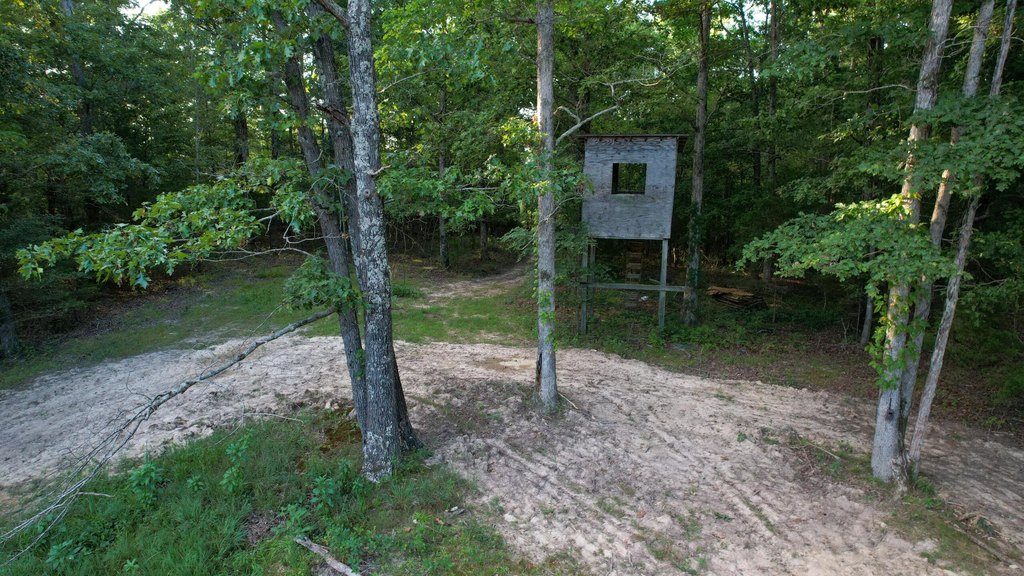 Picture 25