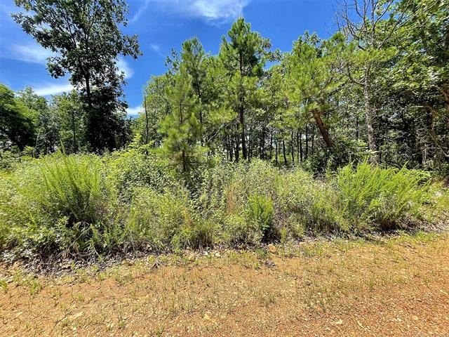 Secluded 82-Acre Land in Peggs