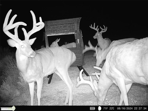 969-Acre Ranch with Bunk House