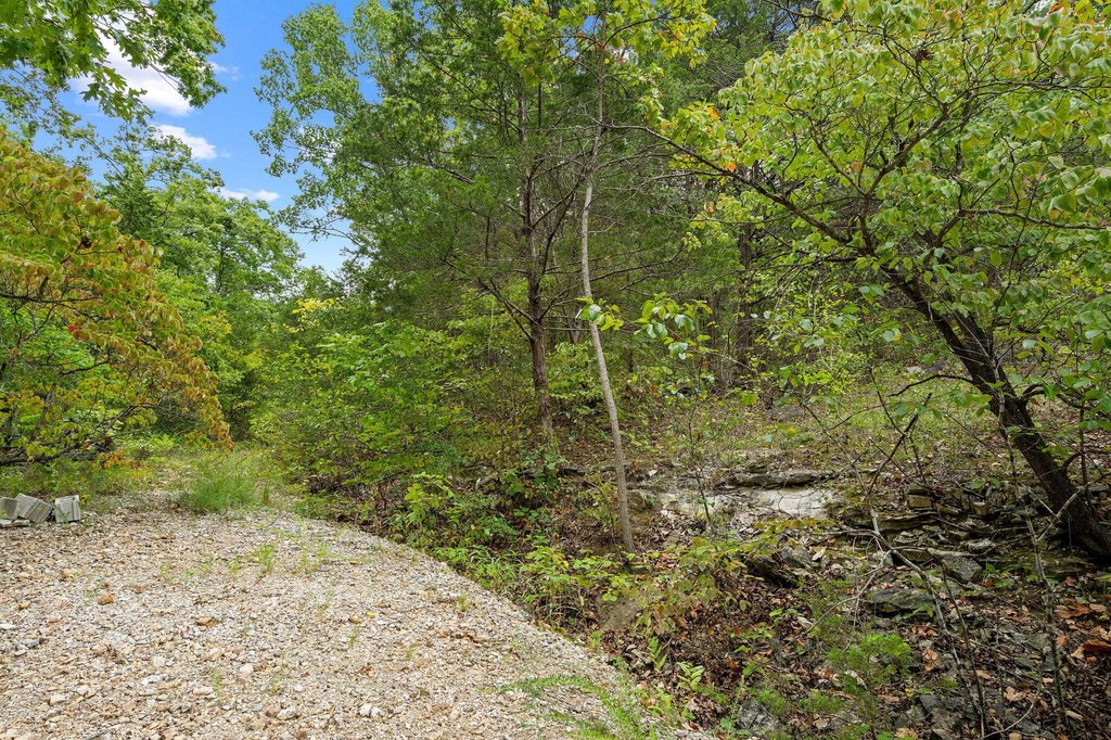 Picture 6