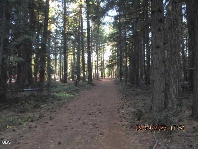 Picture 5