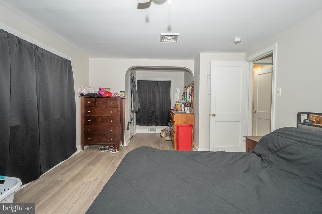 Picture 23