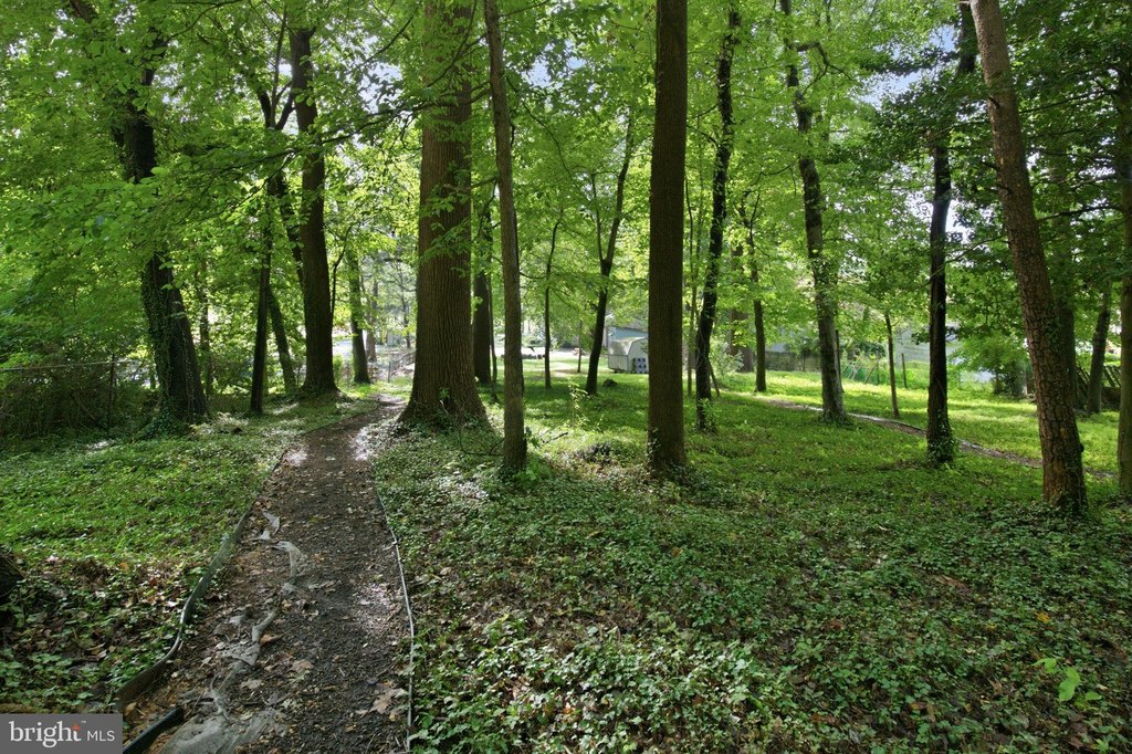 Picture 47