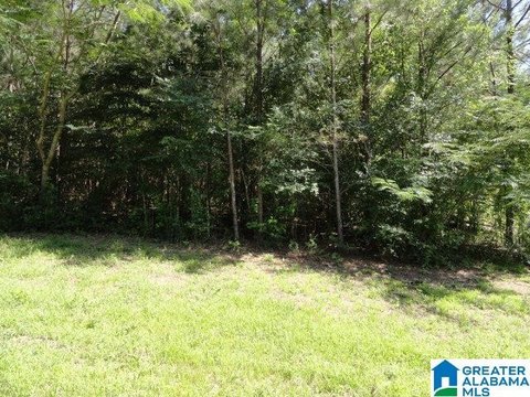 LAND/LOTS, ADAMSVILLE, AL