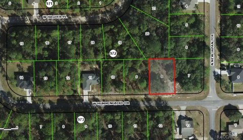 Land, Citrus Springs, FL