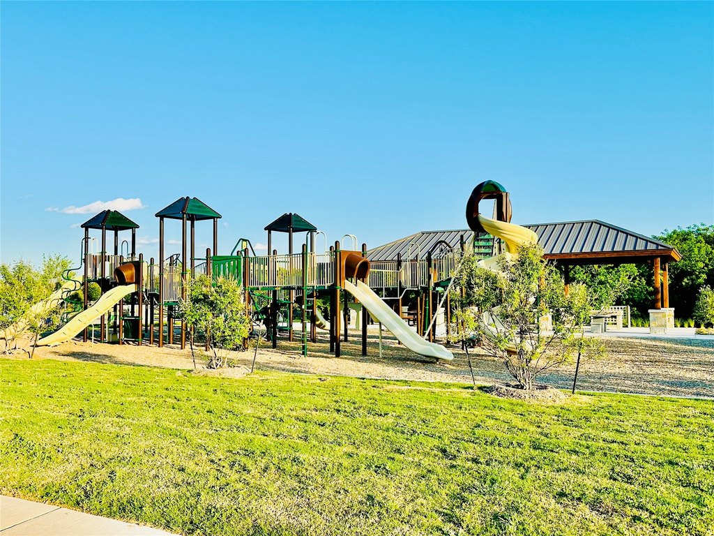 Picture 8