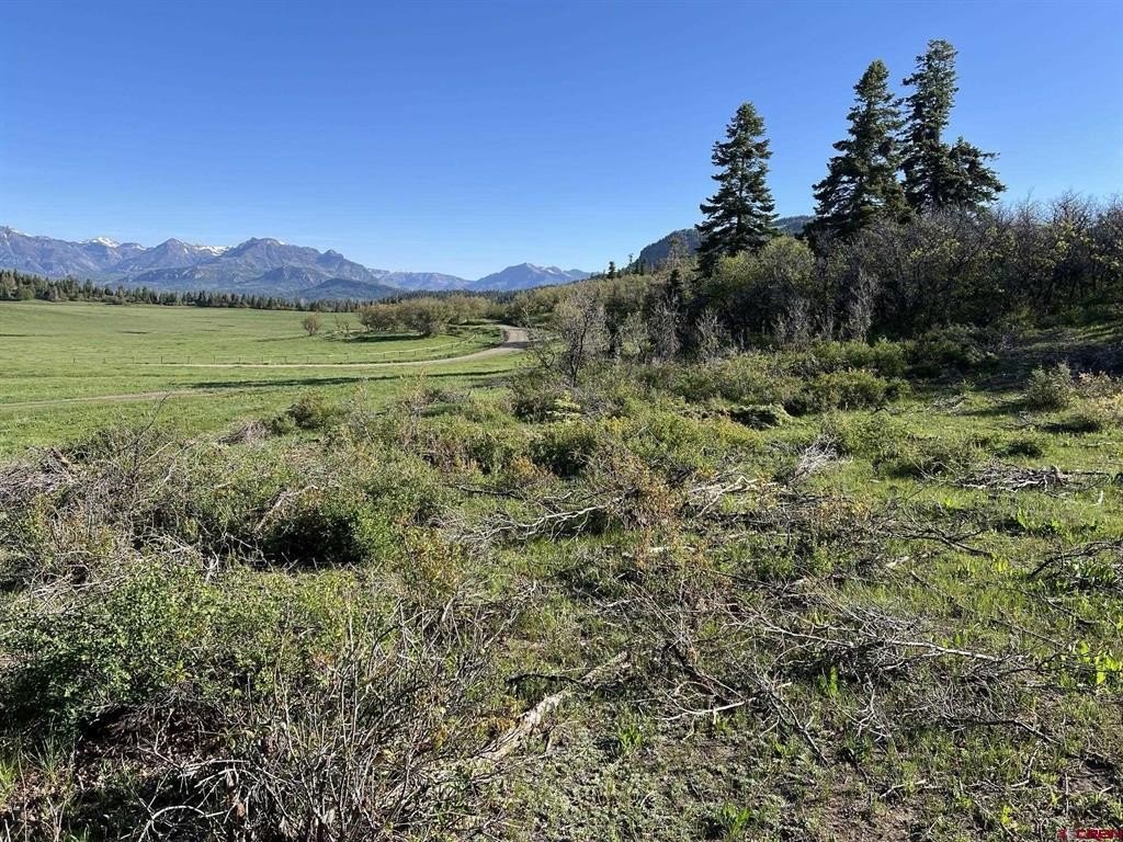 Land For Sale, Pagosa Springs