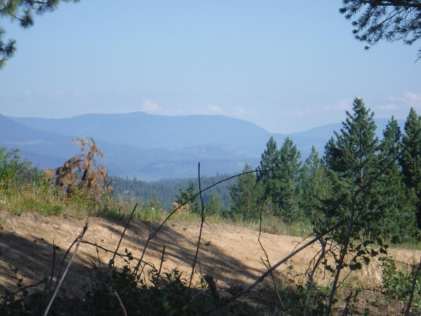 Loon Lake Land with Views