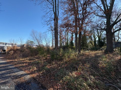 Land, EDGEWATER, MD