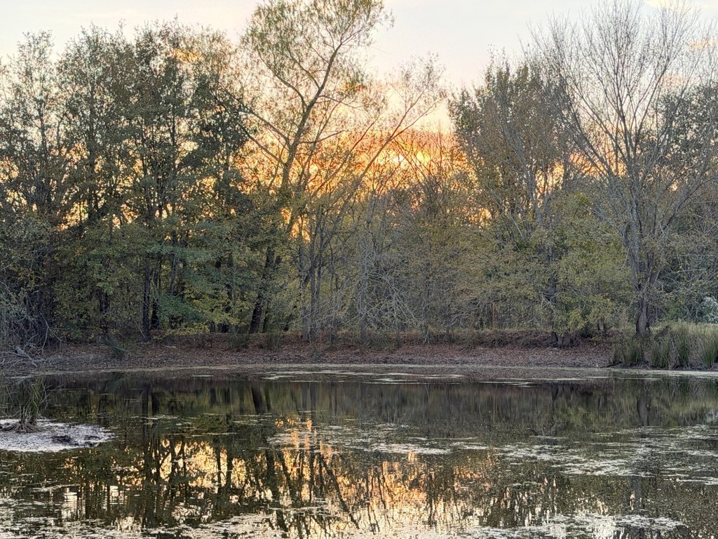 Picture 26