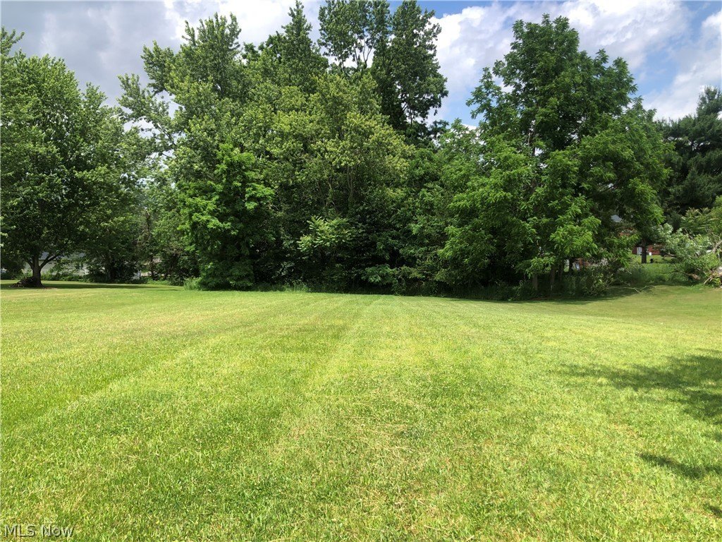 Picture 3