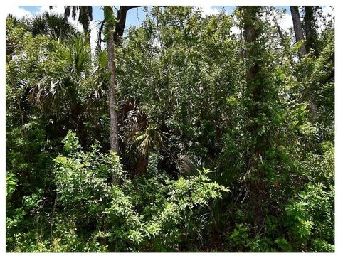 Land, NORTH PORT, FL