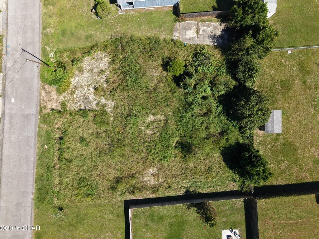 Picture 18