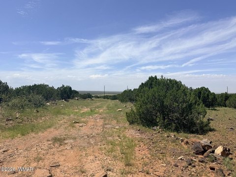 Land, Show Low, AZ