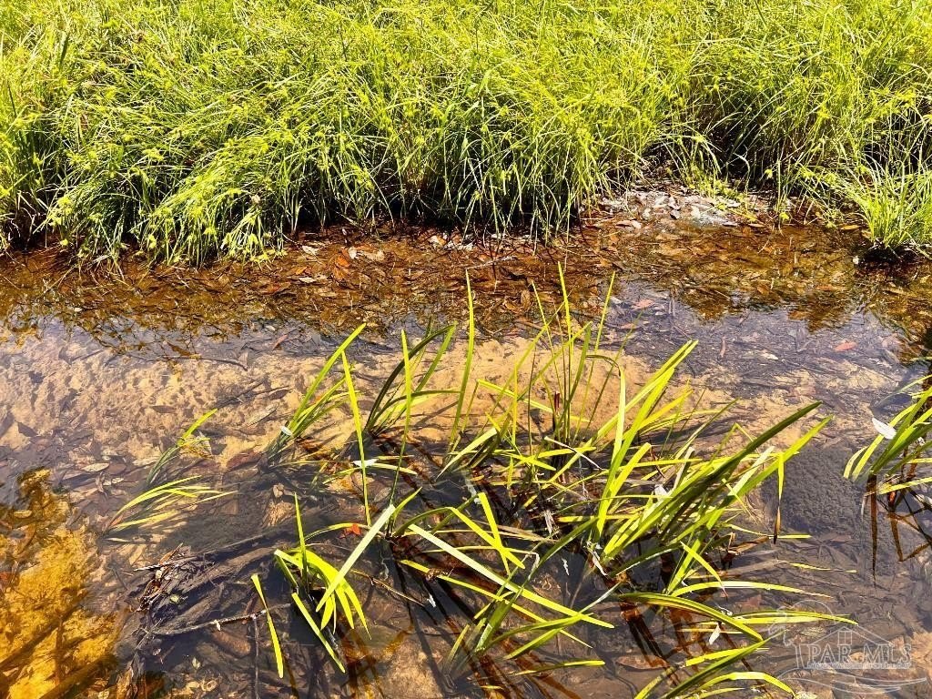 NatureWalk Land with Creek Access