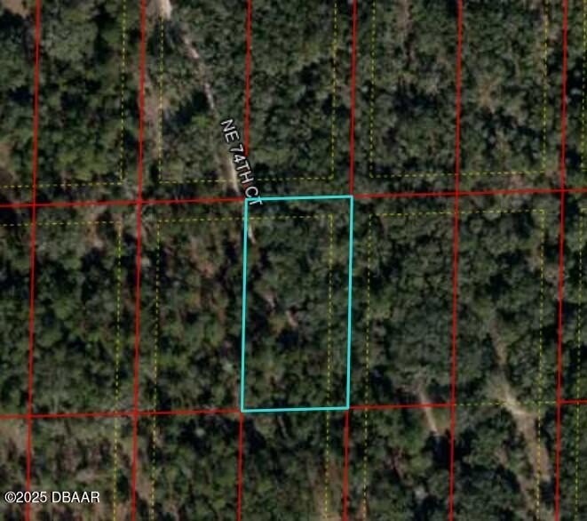 Vacant Land in Bronson, FL