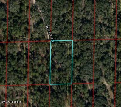 Bronson, FL Vacant Land