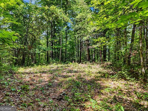 LAND - Tiger, GA