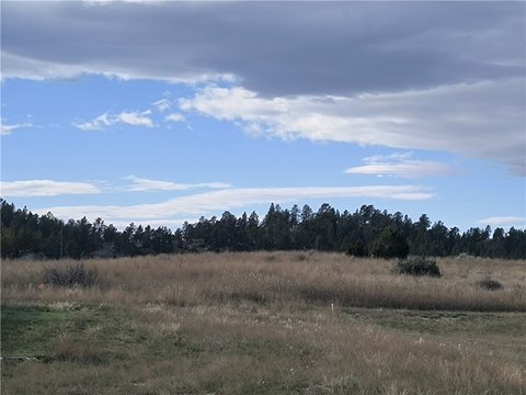 Roundup MT Development Lots