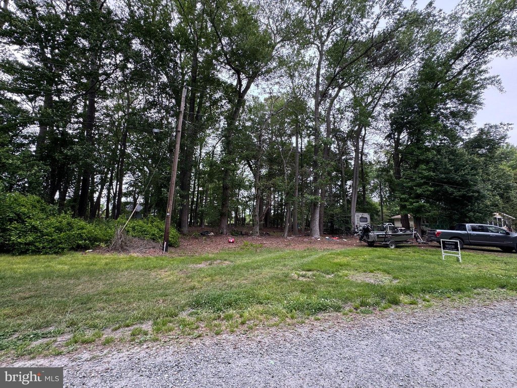Picture 4