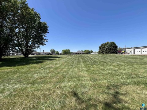 Commercial Lot in Growing Tea