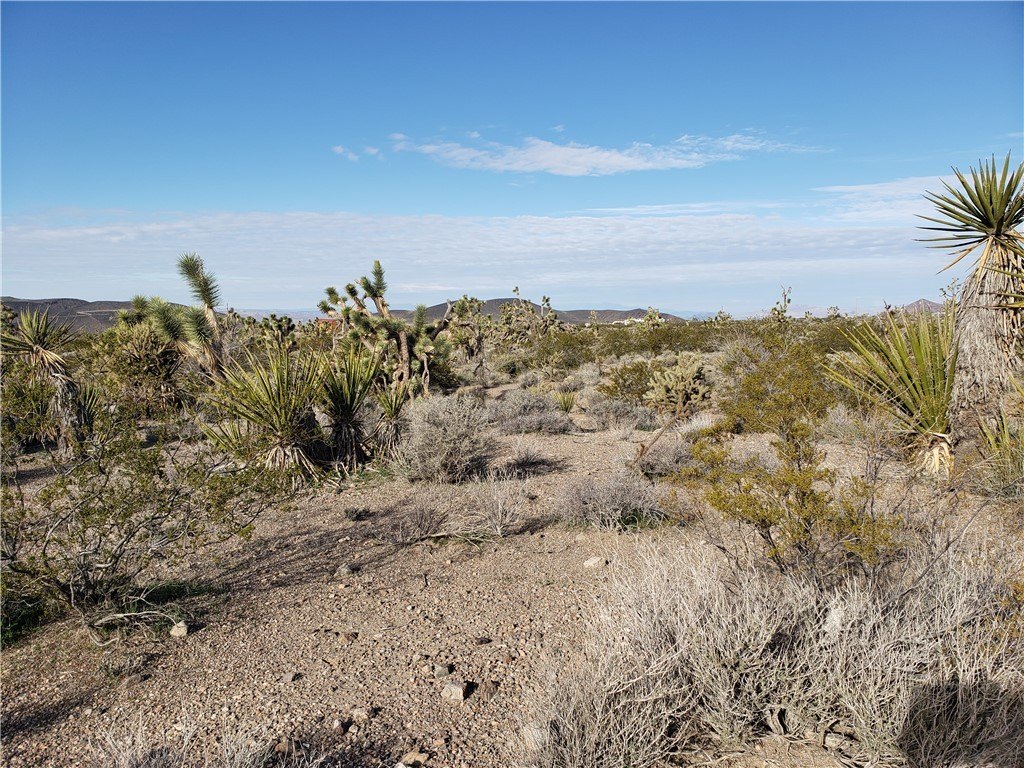 Land in White Hills, Arizona