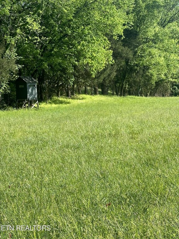 Picture 36