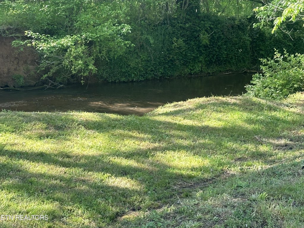 Picture 24