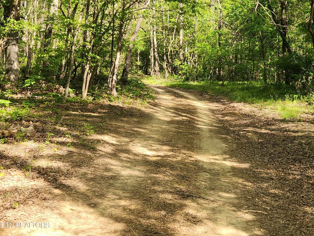 Picture 12