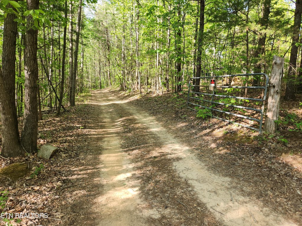Picture 31