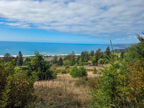 Ocean View Land in Smith River